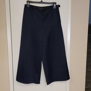 Ted Baker BERILO navy pants